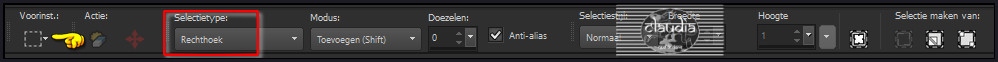 Activeer het Selectiereedschap (= toets S) - Rechthoek 