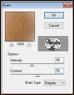 Effecten - Insteekfilters - Textures - Grain