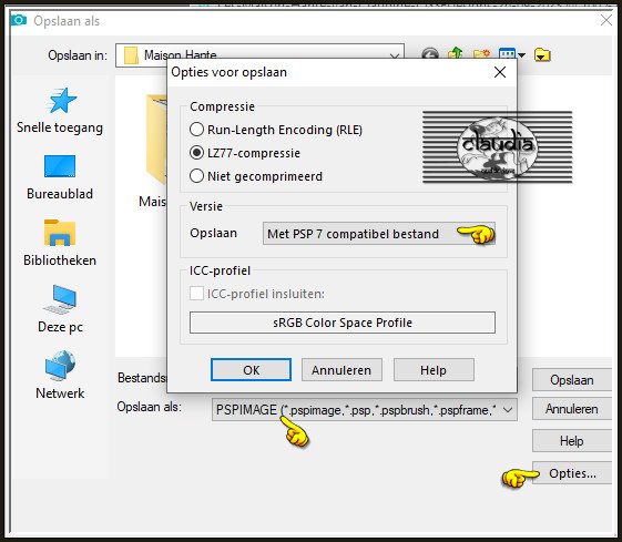 Sla je werkje op als psp-image bestand, compatibel met PSP7 :