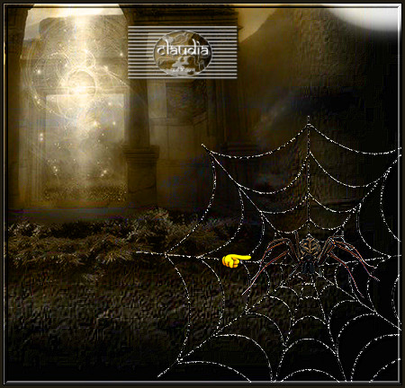 Plaats de spin midden op het spinnenweb :
