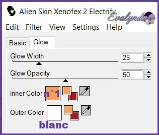 Effecten - Insteekfilters - Alien Skin Xenofex 2 - Electrify