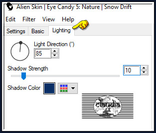 Effecten - Insteekfilters - Alien Skin Eye Candy 5 : Nature - Snow Drift