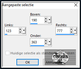 Activeer het Selectiegereedschap (toets S op het toetsenbord) - Aangepaste selectie en voer deze getallen in