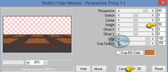 Effecten - Insteekfilters - MuRa's Meister - Perspective Tiling