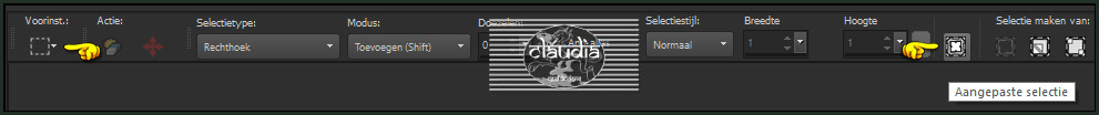 Activeer het Selectiegereedschap (toets S op het toetsenbord) - Aangepaste selectie
