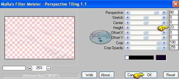 Instellingen filter MuRa's Meister - Perspective Tiling