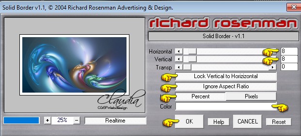 Instellingen filter Richard Rosenman - Solid Border v1.1 