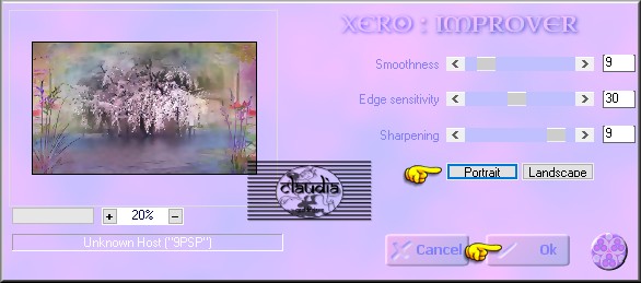 Effecten - Insteekfilters - Xero - Improver : klik 1 x op Portrait en op OK