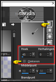 Ga naar het Kleurenpallet en klik met de muis in het Verloop en pas de instellingen aan zoals op het voorbeeld :