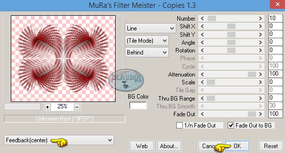 Instellingen filter MuRa's Meister - Copies 
