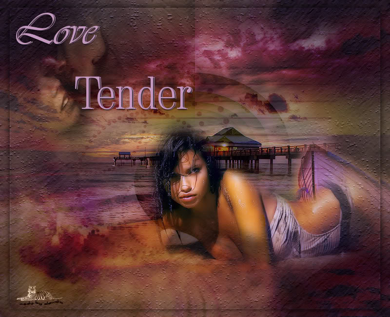 Les : Love Tender van Nikita