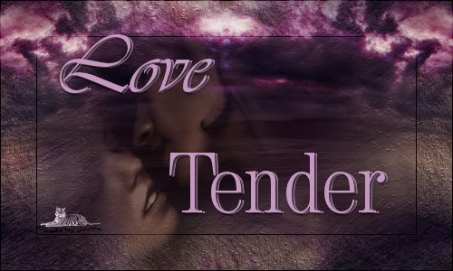 Titel Les : Love Tender van Nikita
