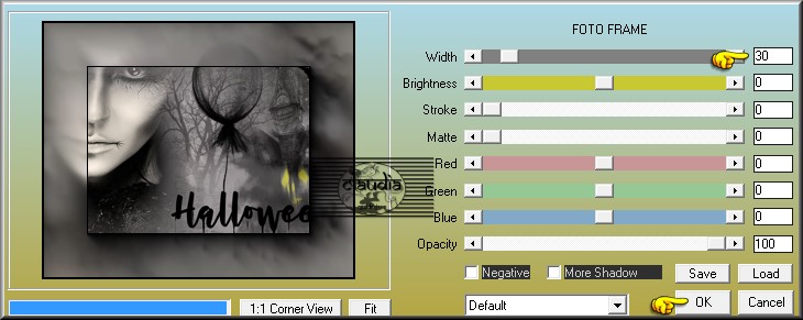 Effecten - Insteekfilters - AAA Frames - Foto Frame