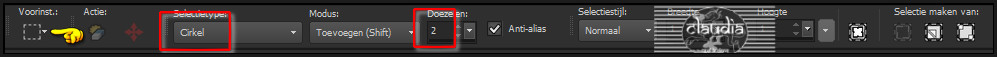 Activeer het "Selectiegereedschap" (= Toets S) met deze instellingen :