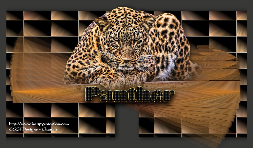 Les : Panther van Nikita