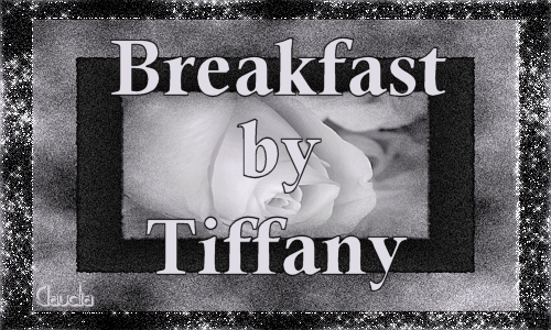 Titel Les : Breakfast by Tiffany van Sille