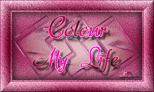 Titel Les : Colour my Life van Sille