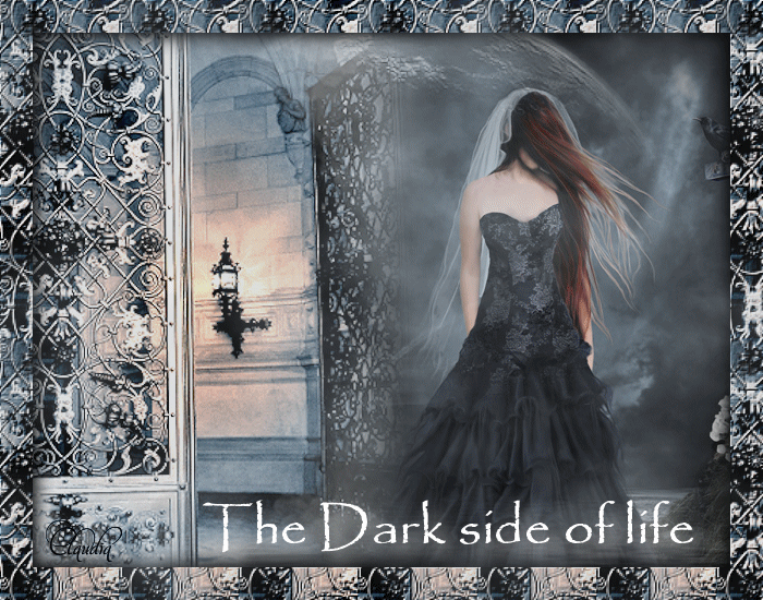Les : The Dark site of life van Sille