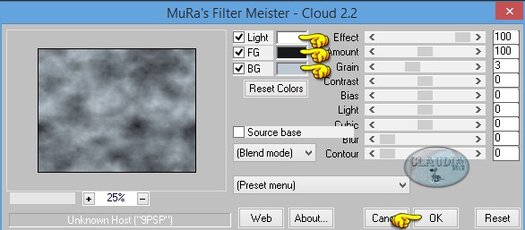 Instellingen filter MuRa's Meister - Cloud