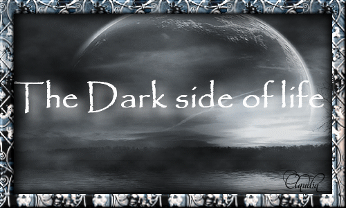 Titel Les : The Dark site of life van Sille