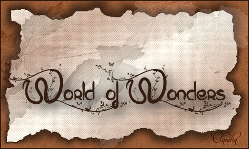 Titel Les : World of Wonders van Sille