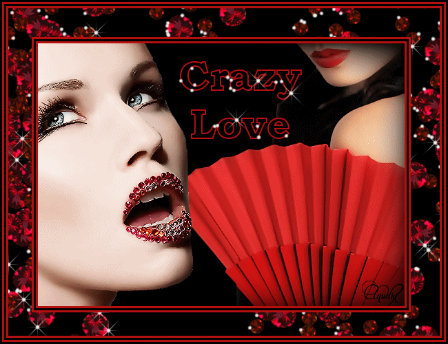 Les : Crazy Love van Sille