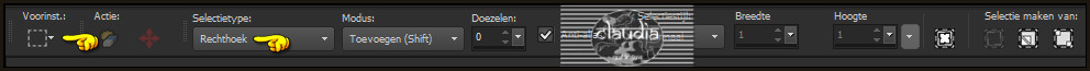Activeer het "Selectiegereedschap" (toets S) - Rechthoek