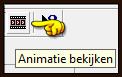 Animatie bekijken