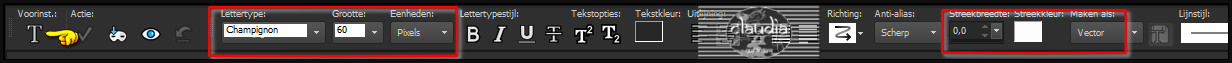 Activeer het "Tekstgereedschap" en zoek het font "Champignon" met deze instellingen