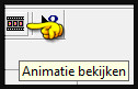 Animatie bekijken