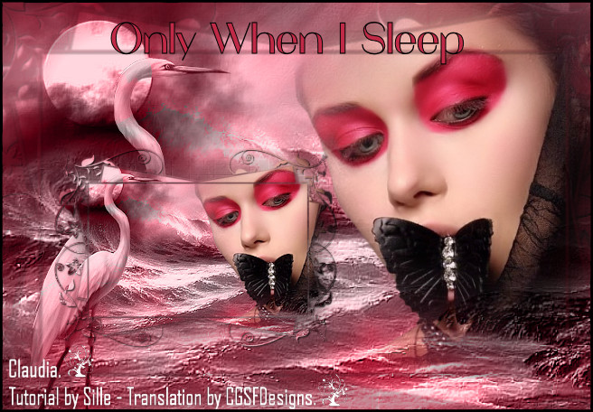 Les : Only When I Sleep van Sille