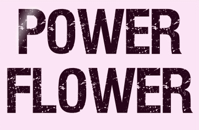 Titel Les : Power Flower