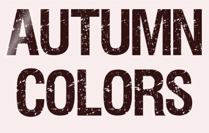Titel Les : Autumn Colors